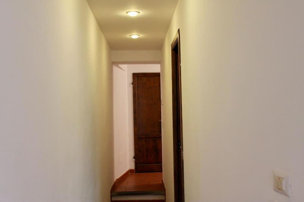 Cute Apartment Near Santa Croce 佛罗伦萨 外观 照片